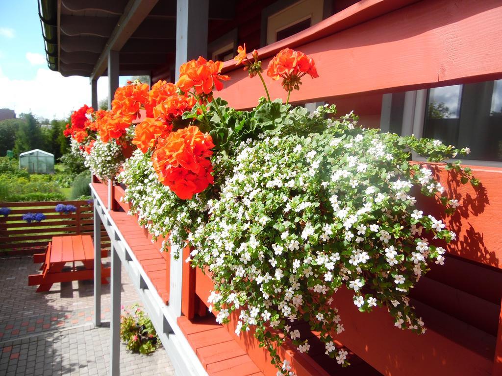 Zalie Abolisi Hotel Ventspils Exterior photo